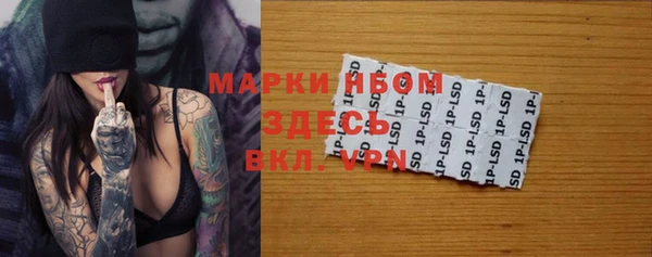 индика Горняк