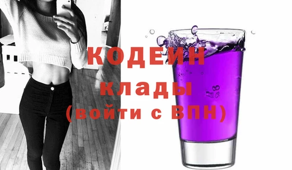 индика Горняк