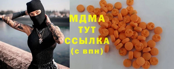 индика Горняк