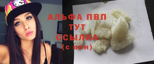 индика Горняк