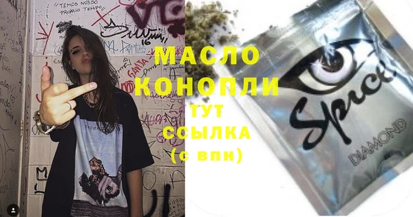 индика Горняк