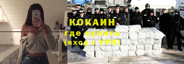 индика Горняк