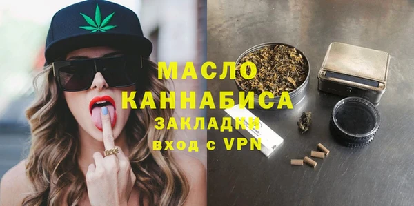 индика Горняк